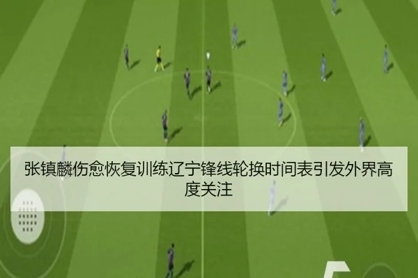 张镇麟伤愈恢复训练辽宁锋线轮换时间表引发外界高度关注