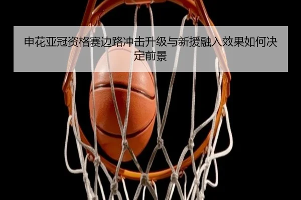 申花亚冠资格赛边路冲击升级与新援融入效果如何决定前景